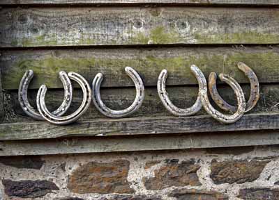 Used horseshoes with a wood background