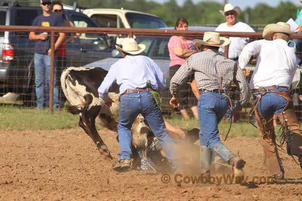 Ranch Rodeo, 06-27-15 - Photo 45