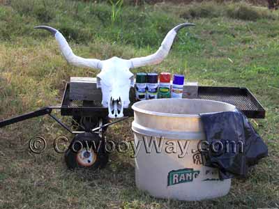 Cow skull, spray paint, and hydro dipping tub