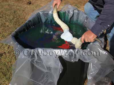 Longhorn cow skull being covered in spray paint