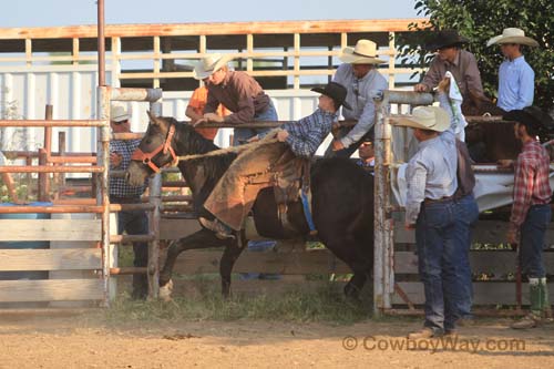 Junior Ranch Bronc Riding, 06-30-12 - Photo 01