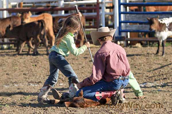 Calf branding in a junior ranch rodeo