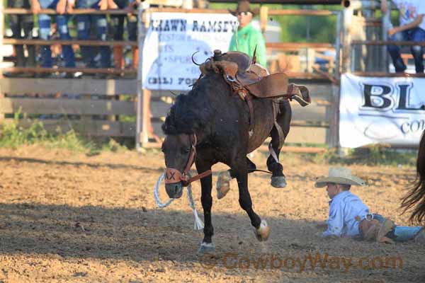 Junior Ranch Bronc Riding, 06-27-15 - Photo 28