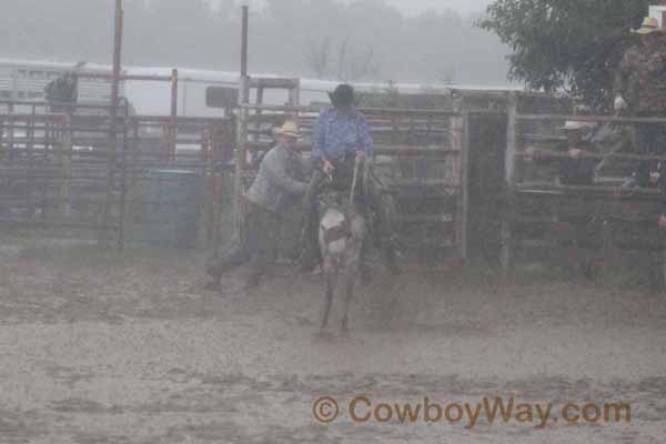 Junior Ranch Bronc Riding, 06-28-14 - Photo 14