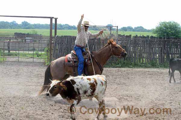 KRRA Ranch Roping - Photo 02