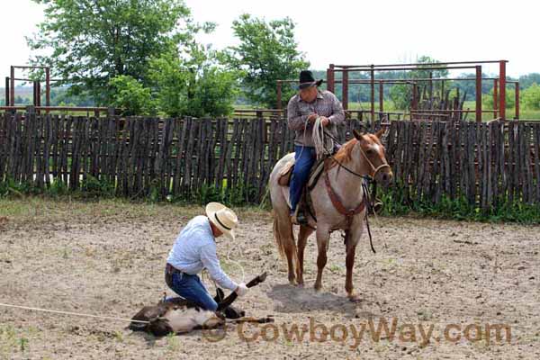 KRRA Ranch Roping - Photo 04