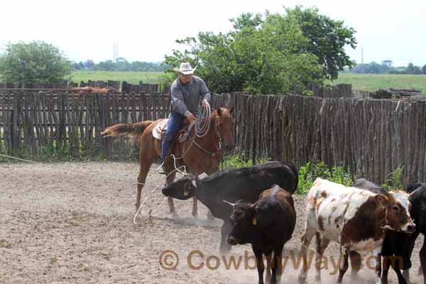 KRRA Ranch Roping - Photo 05