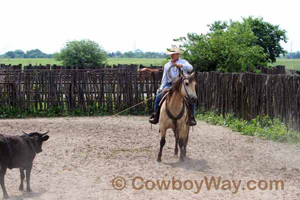 KRRA Ranch Roping - Photo 10