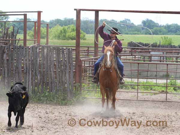 KRRA Ranch Roping - Photo 16