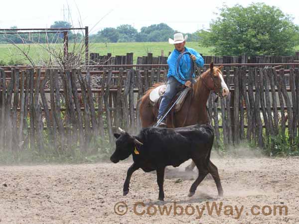 KRRA Ranch Roping - Photo 17