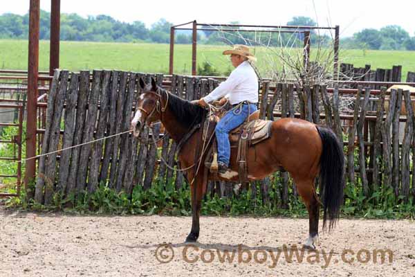 KRRA Ranch Roping - Photo 34