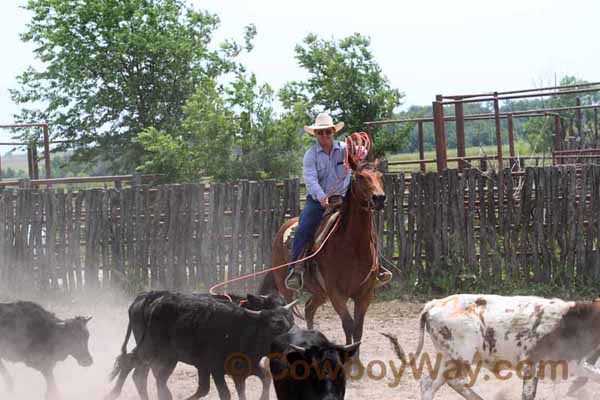 KRRA Ranch Roping - Photo 37