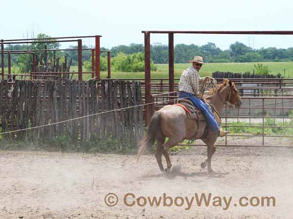 KRRA Ranch Roping - Photo 41