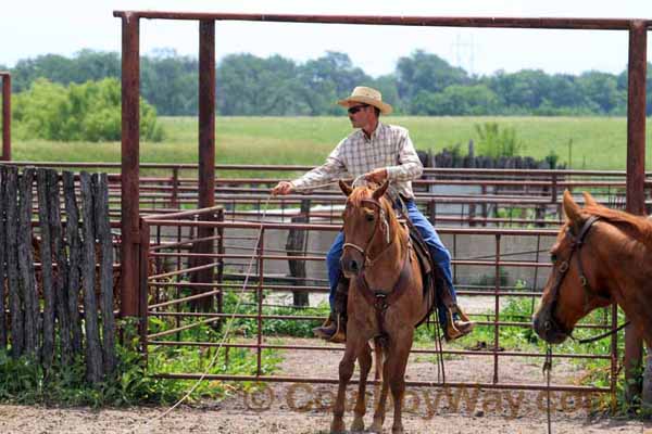 KRRA Ranch Roping - Photo 43