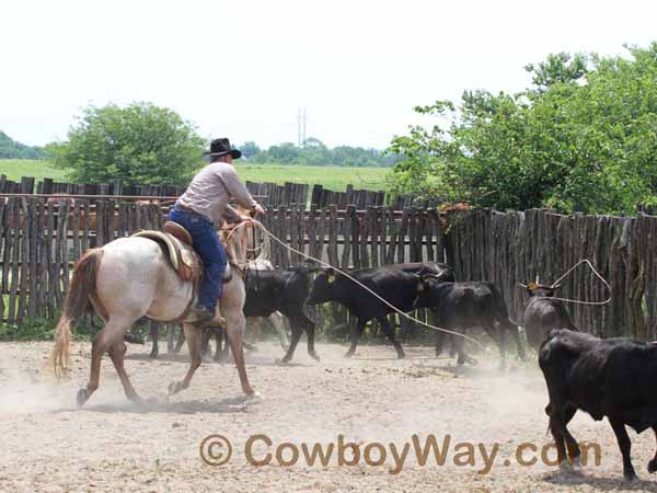 KRRA Ranch Roping - Photo 46