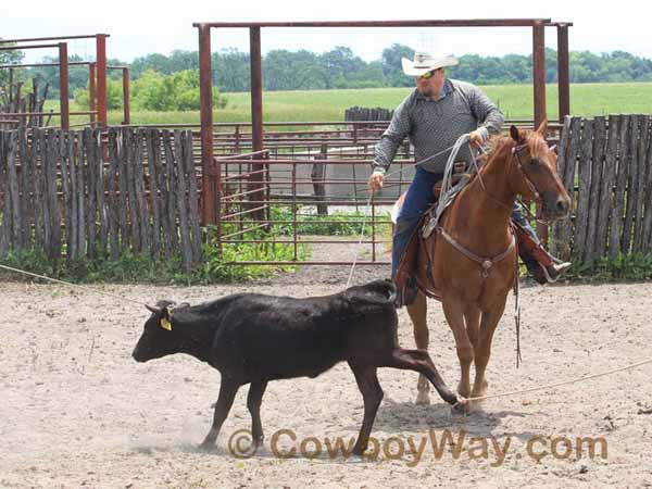 KRRA Ranch Roping - Photo 50