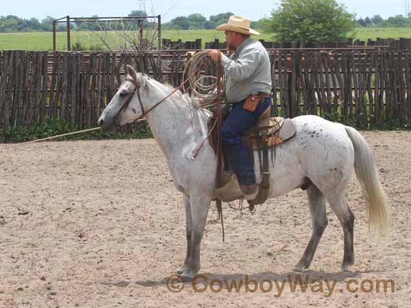 KRRA Ranch Roping - Photo 51