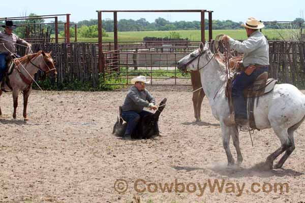 KRRA Ranch Roping - Photo 53