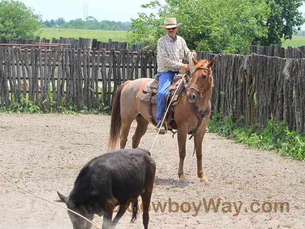 KRRA Ranch Roping - Photo 54