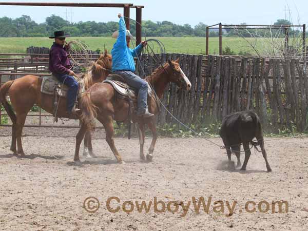 KRRA Ranch Roping - Photo 55