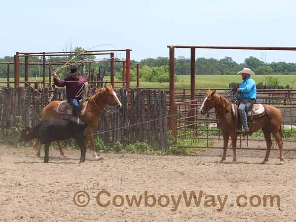 KRRA Ranch Roping - Photo 59