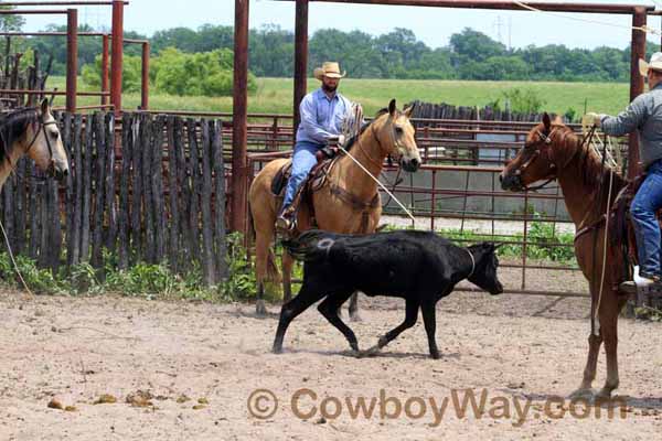 KRRA Ranch Roping - Photo 65