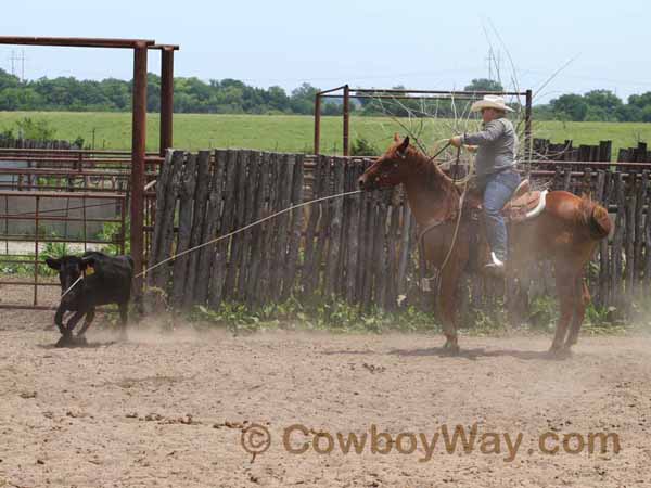 KRRA Ranch Roping - Photo 66