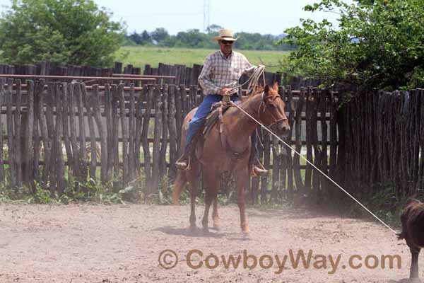 KRRA Ranch Roping - Photo 68