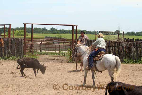 KRRA Ranch Roping - Photo 72