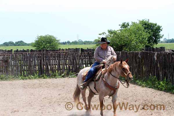 KRRA Ranch Roping - Photo 73