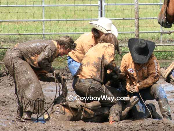 Four cowgirls covered in mud work to tie their steer