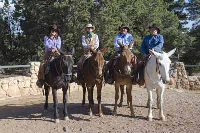 Wranglers riding mules.