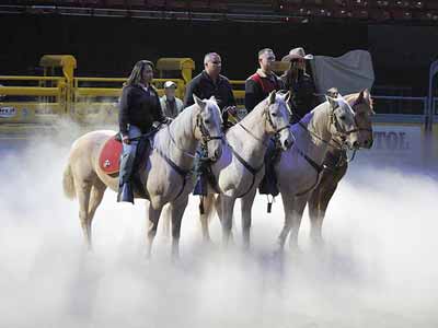Horses rehearsing for the 2012 National Finals Rodeo