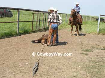 Nord Fork in place, heeler holding the heels