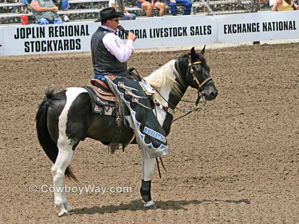 A Paint horse being ridden by a rodeo announcer
