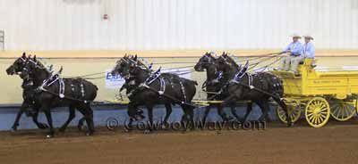 Draft horses pulling a wagon