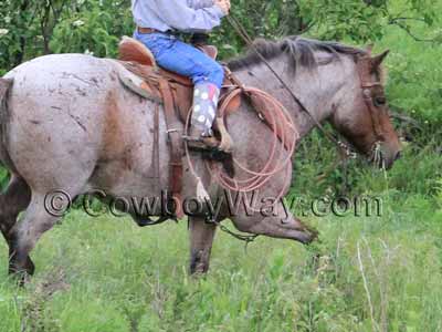 A ranch pony saddle
