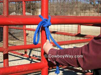 Tie a quick release knot, step five