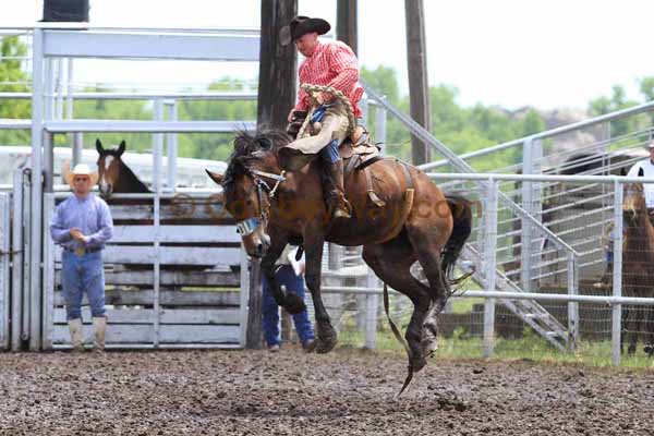 Ranch Bronc Riding, Moline - Photo 10