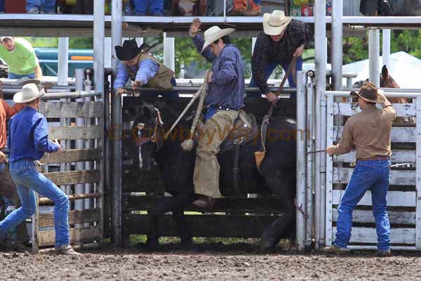 Ranch Bronc Riding, Moline - Photo 11