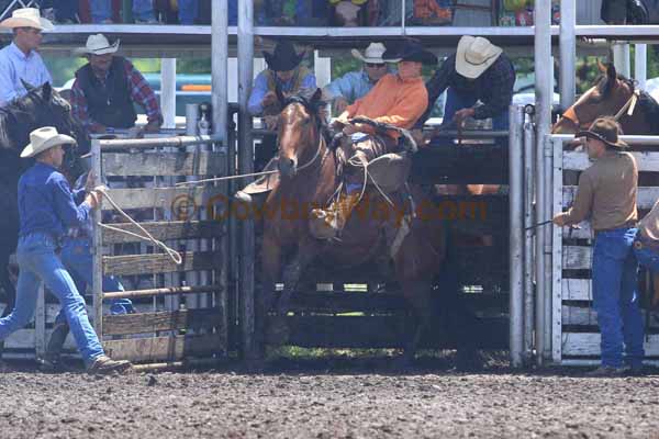 Ranch Bronc Riding, Moline - Photo 15