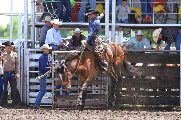 Ranch Bronc Riding, Moline - Photo 17