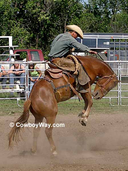 Ranch bronc riding