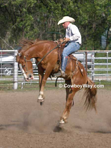 A bronc bucking