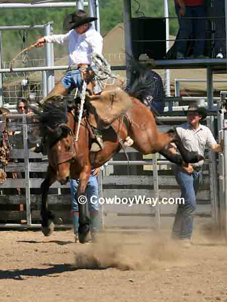 A ranch bronc rider