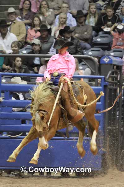 A sorrel ranch bronc bucking at the WRCA Finals