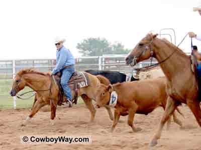 Ranch cutting horse