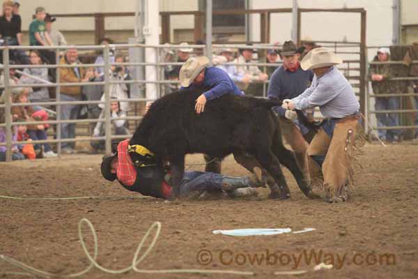 Ranch Rodeo, Equifest of Kansas, 02-11-12 - Photo 19