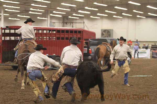 Ranch Rodeo, Equifest of Kansas, 02-11-12 - Photo 22