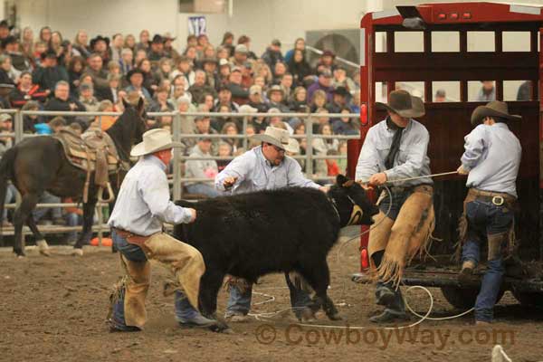 Ranch Rodeo, Equifest of Kansas, 02-11-12 - Photo 26